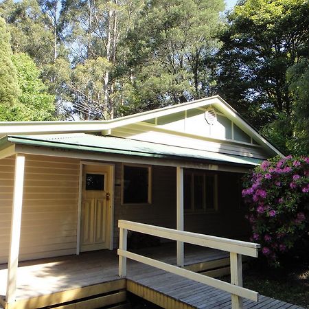 Credo Cottages 奥林达 外观 照片